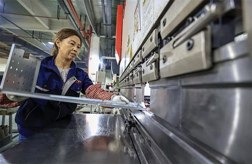 江西湖口 筑巢引凤 助就业